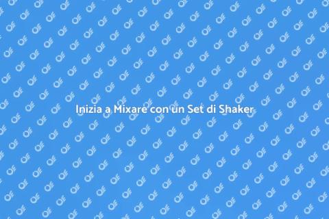 Set di Shaker per Principianti
