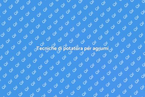 Potatura agrumi: arte e conservazione