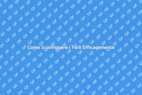 Trattamento Efficace contro i Tarli