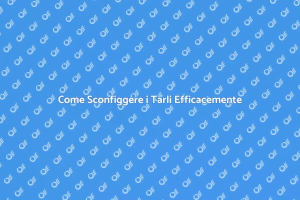 Sconfiggi i Tarli e Proteggi il Tuo Legno