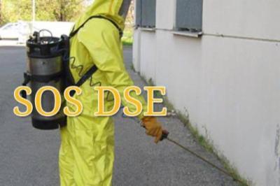 Atrr Multiservizi Derattizzazioni e Disinfestazioni  - Foto 4