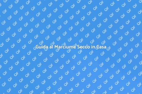 Riparare il Marciume Secco