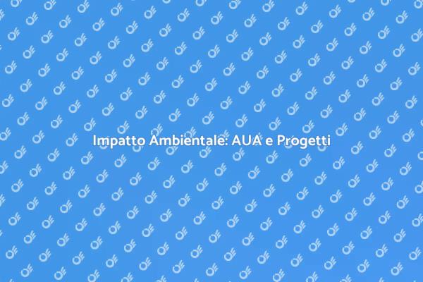 Impatto AUA: Fondamenti per Progetti