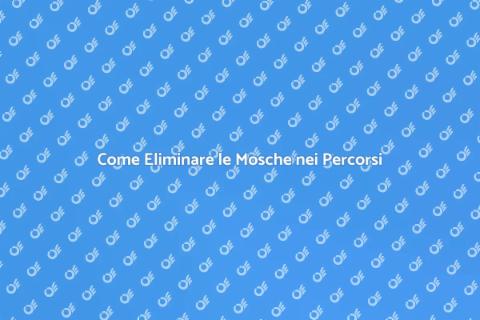Disinfestazione Mosche nei Percorsi