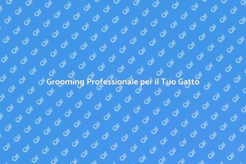 Brushing Professionale per Gatti