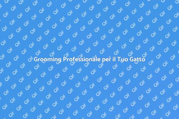 Brushing: il Segreto per Gatti Felici