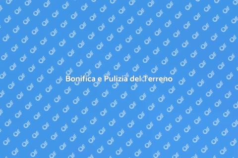 Pulizia e Bonifica del Terreno