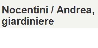 Andrea Nocentini Giardiniere  - Foto 2