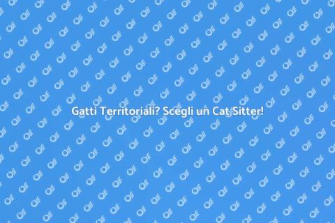 Cat Sitter per Gatti Territoriali