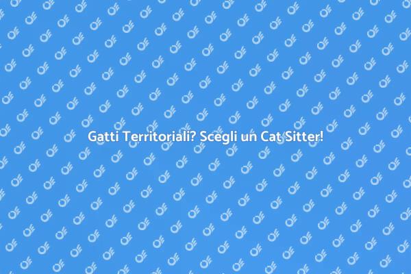 Cat Sitter Ideale per Gatti Territoriali