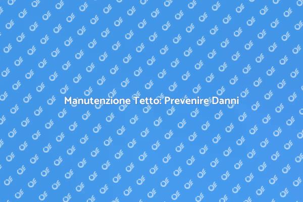 Servizio di Pulizia Tetto Essenziale