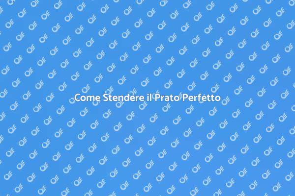 Guida alla Stesura del Prato