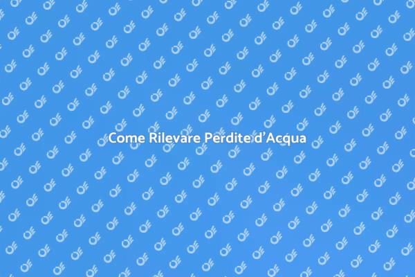 Perdite d'Acqua: Rilevazione e Soluzioni