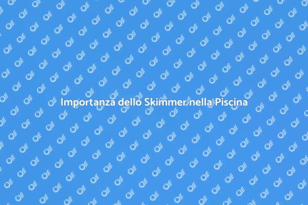 Skimmer: Essenziale per la Piscina