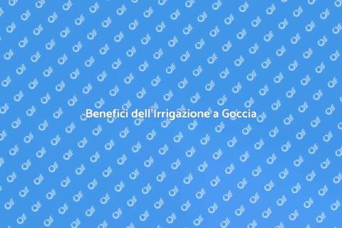 Irrigazione a Goccia e Biodiversità