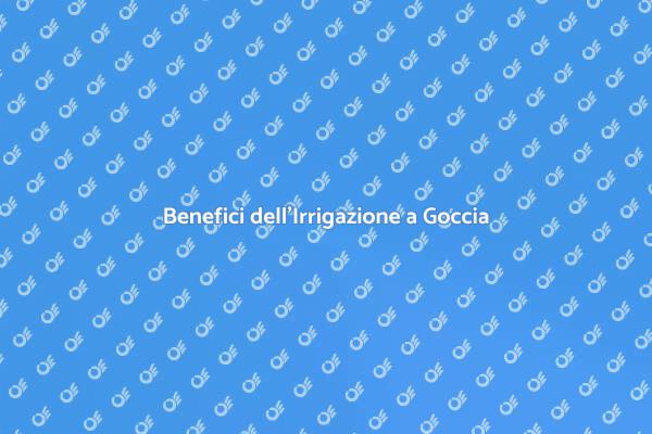 Sostenibilità e Irrigazione a Goccia
