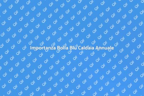 Bolla Blu Caldaia Annuale Sicurezza