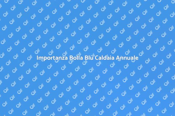 Bolla Blu: Sicurezza per la Tua Caldaia
