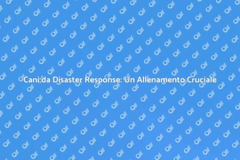 Allenamento Cani da Disaster Response
