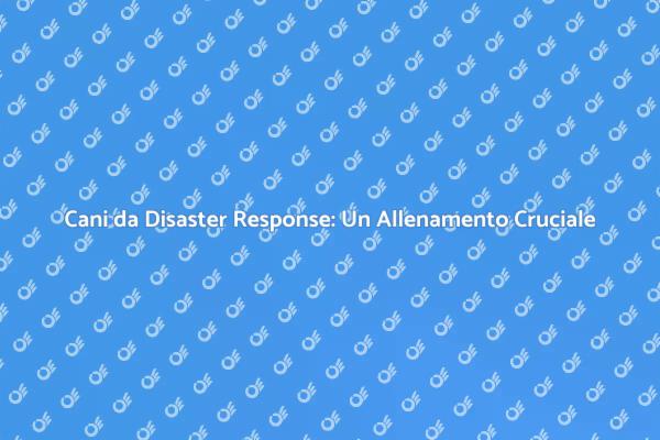 Cani da Disaster Response: Perché Allenarli?
