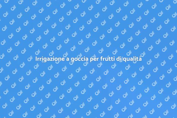 Sistema di irrigazione a goccia efficace