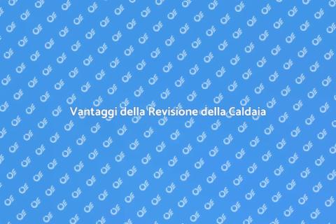 Revisione Caldaia a Legna: Ecco Perché