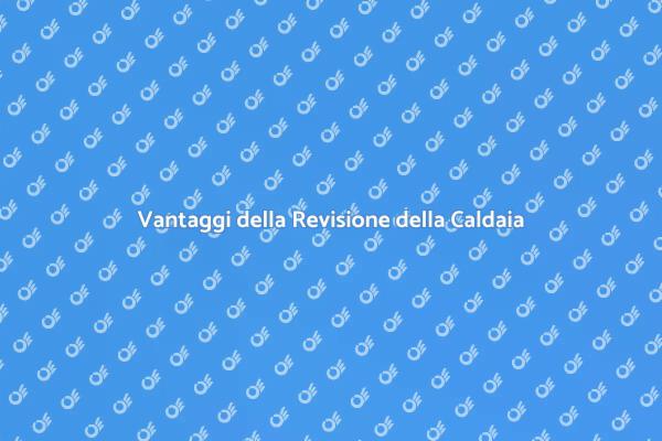 Perché Revisare la Caldaia a Legna?