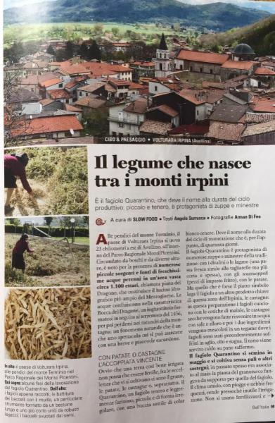 Libero professionista - Foto 32