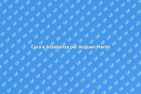 Assistenza Tecnica Acquario Marino