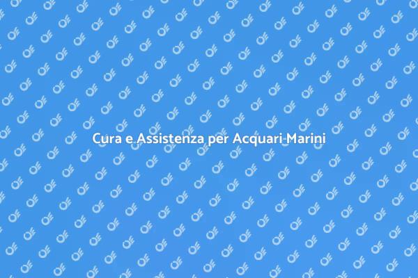 Magia dell'Acquario Marino
