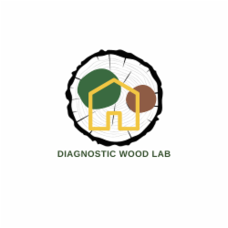 Diagnostic wood lab - Foto 1