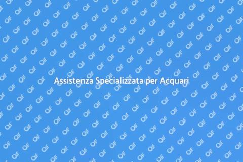Supporto Tecnico per Acquario Biotico