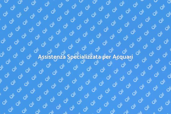 Supporto Esperto per il Tuo Acquario