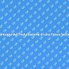 Fossa Settica: Guida all'Installazione
