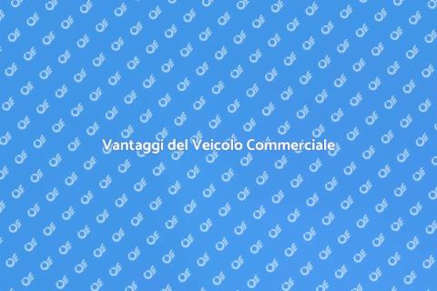 Veicolo Commerciale: Servizi Professionali