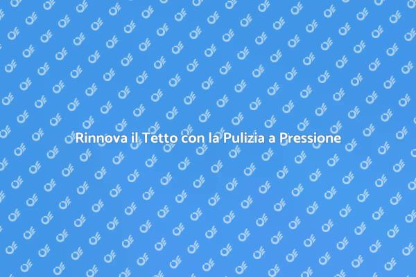 Mantieni il Tetto Sempre Pulito