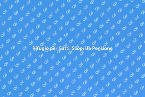 Pensione per Gatti: Il Rifugio Ideale