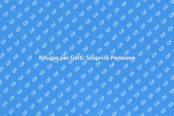 Pensione per Gatti: La Scelta Giusta