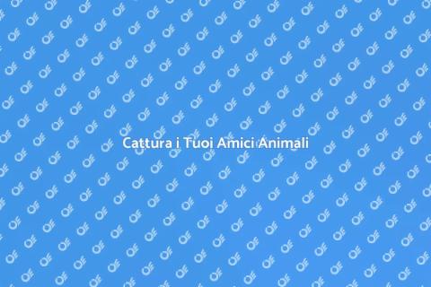 Fotografia di Animali: Cattura la Magia