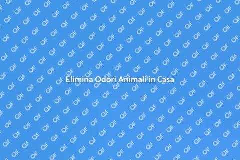 Rimuovi Odori Animali Domestici