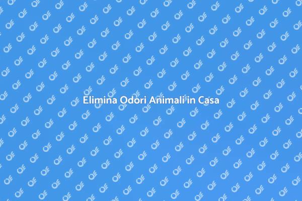 Odori Animali: Soluzioni Efficaci