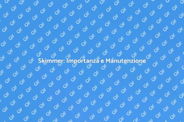 Manutenzione Skimmer per Piscina