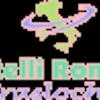 Castelli Romani Traslochi 