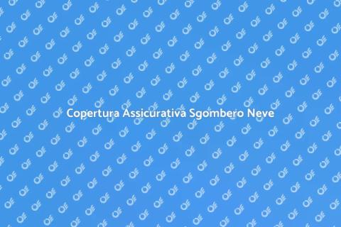 Assicurazione Sgombero Neve Pubblico