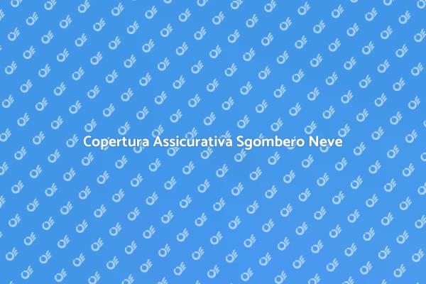 Sgombero Neve: Perché Assicurarsi?