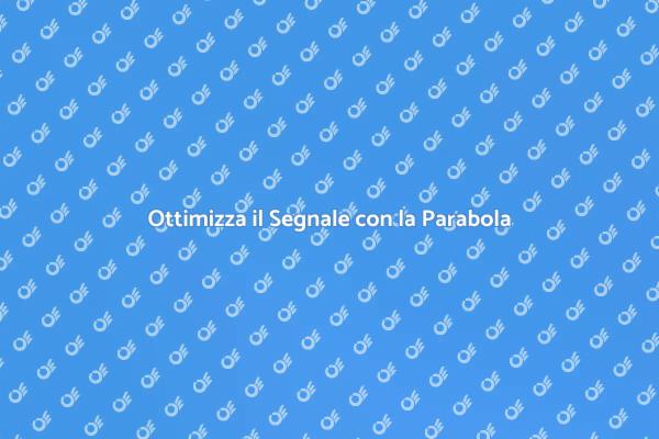 Servizio Professionale di Bilanciamento