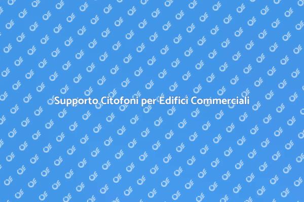 Sicurezza e Citofonia: Assistenza Necessaria