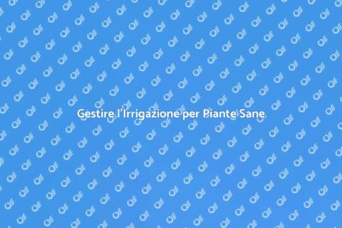 Manutenzione Impianto Irrigazione Efficace
