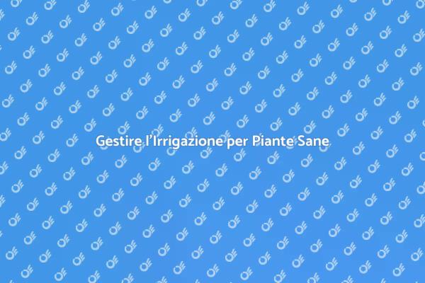 Manutenzione Efficiente per il Giardino