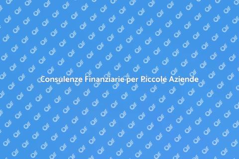 Consulenza Finanziaria per Piccole Imprese